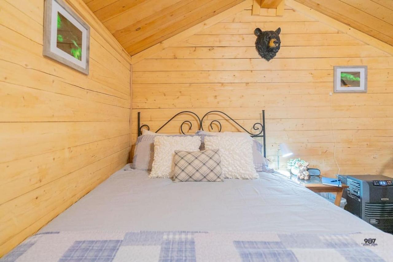 Studio Log Dry Cabin| Aurora Views! Fairbanks Eksteriør billede