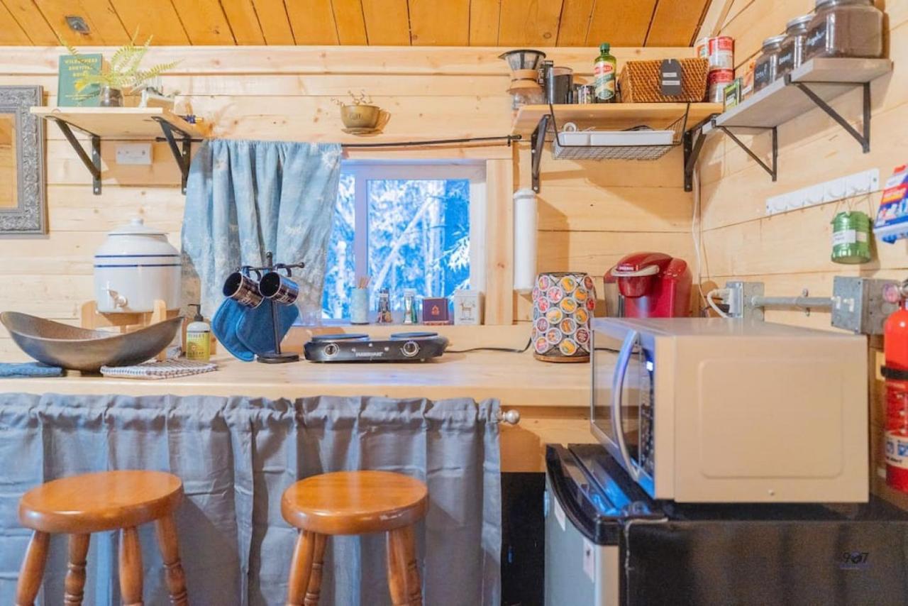 Studio Log Dry Cabin| Aurora Views! Fairbanks Eksteriør billede