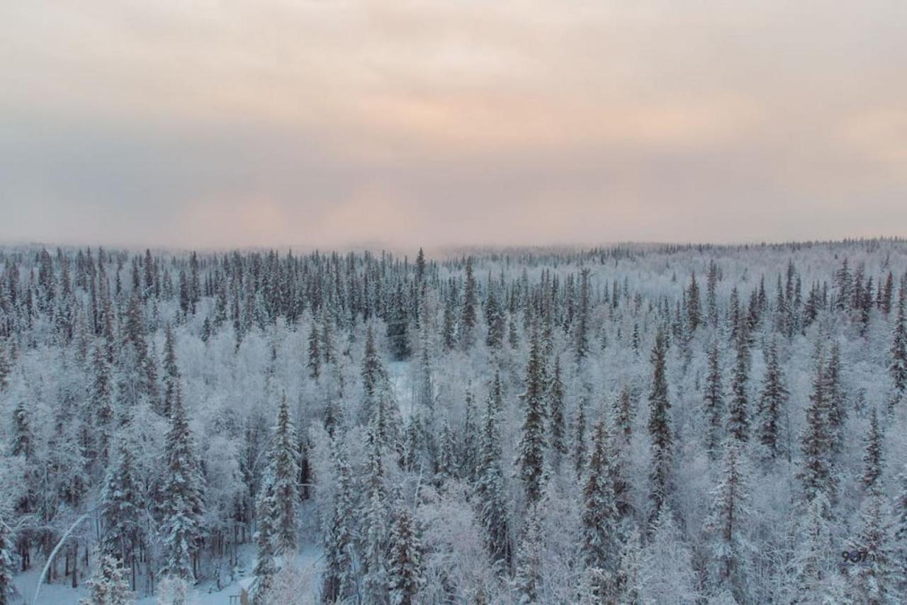 Studio Log Dry Cabin| Aurora Views! Fairbanks Eksteriør billede