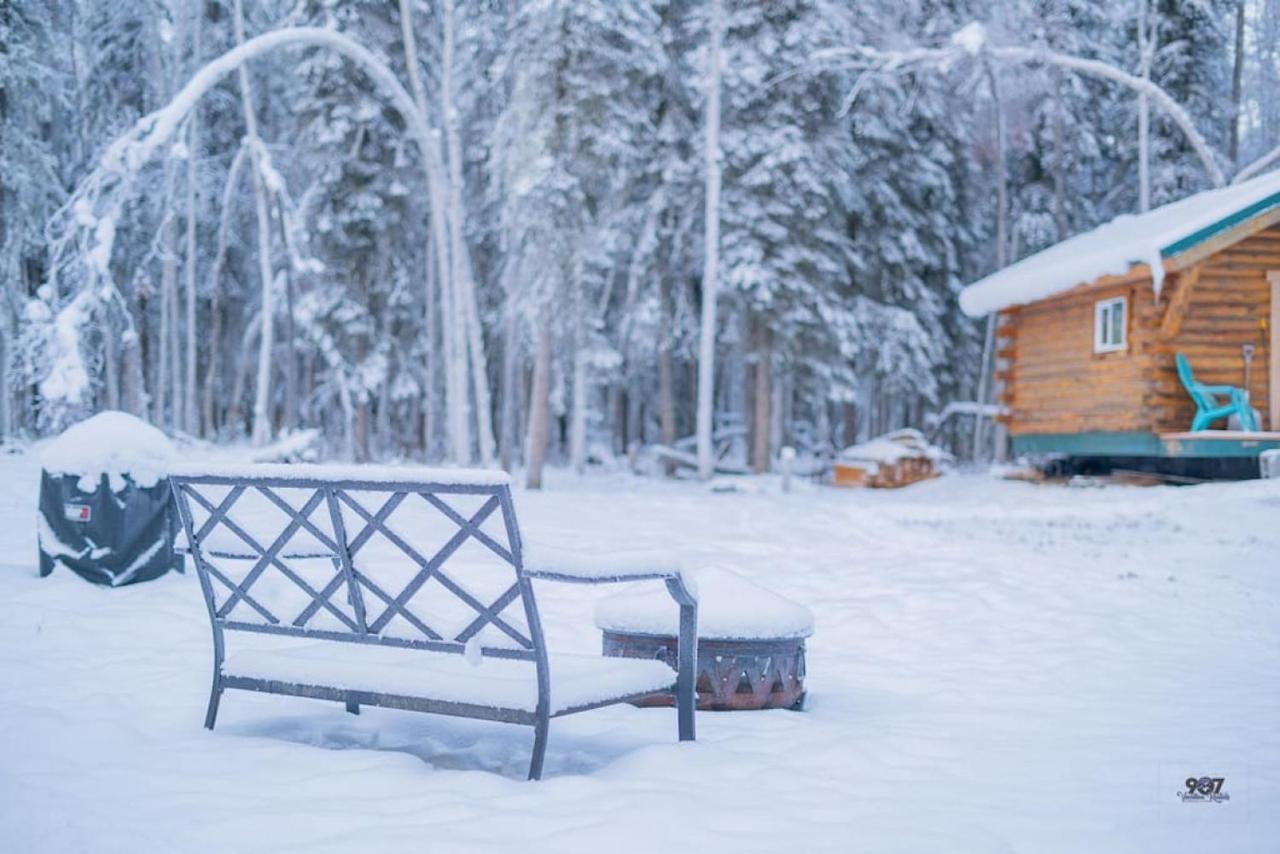 Studio Log Dry Cabin| Aurora Views! Fairbanks Eksteriør billede